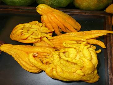 sorbet au mains de Bouddha